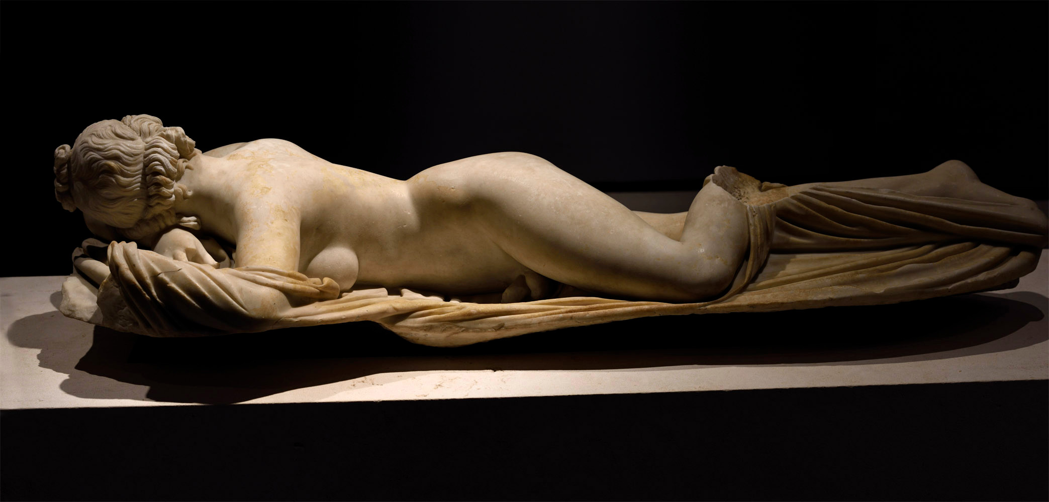 Hermaphroditus 08012024 2
