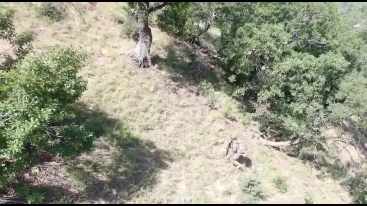 Tsk Sinir Otesi Operasyon 19012024 (16)