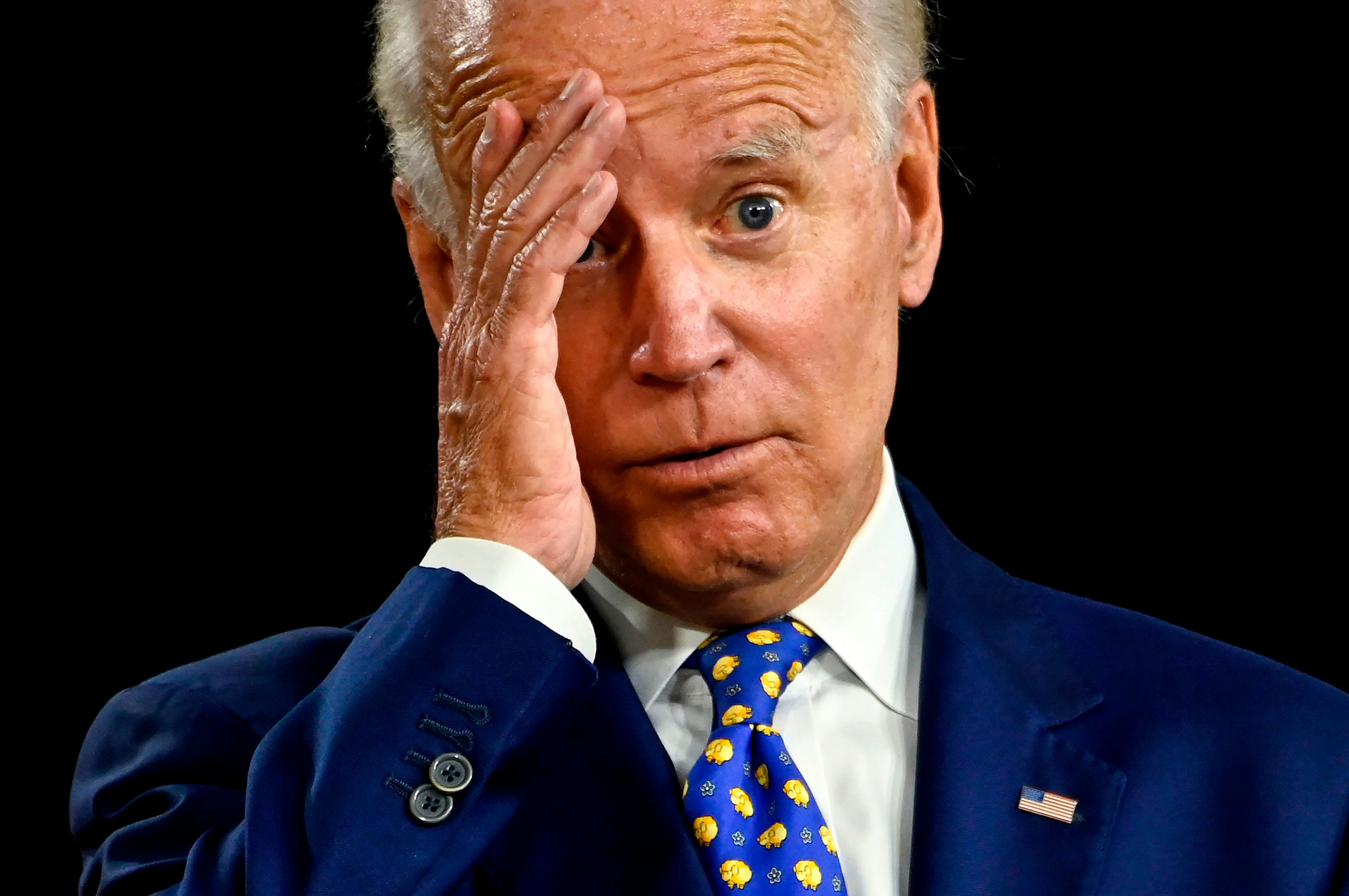 Biden Bunak 2