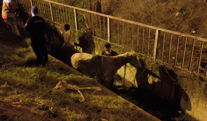 Duzce Hafif Ticari Arac Aa 12022024 2