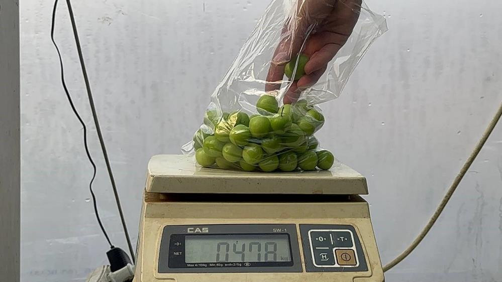 Erigin Fiyati Cep Yakiyor Arap Seyhleri Kilolarca Siparis Veriyor 28Subat2024 Iha 2