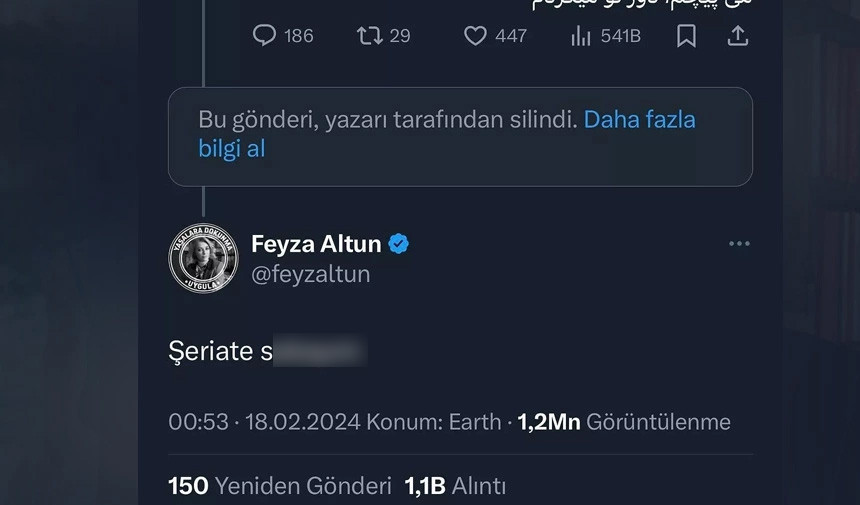 Feyza-1