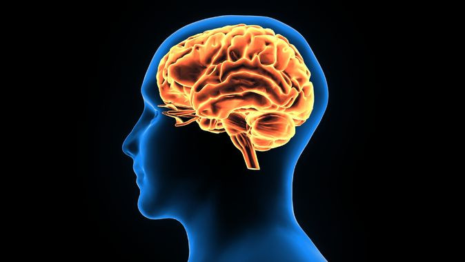 Odtulu Bilim Insanlarindan Yeni Calisma Alzheimeri Erken Evrede Tespit Edilecek 28 S U B A T2024 1