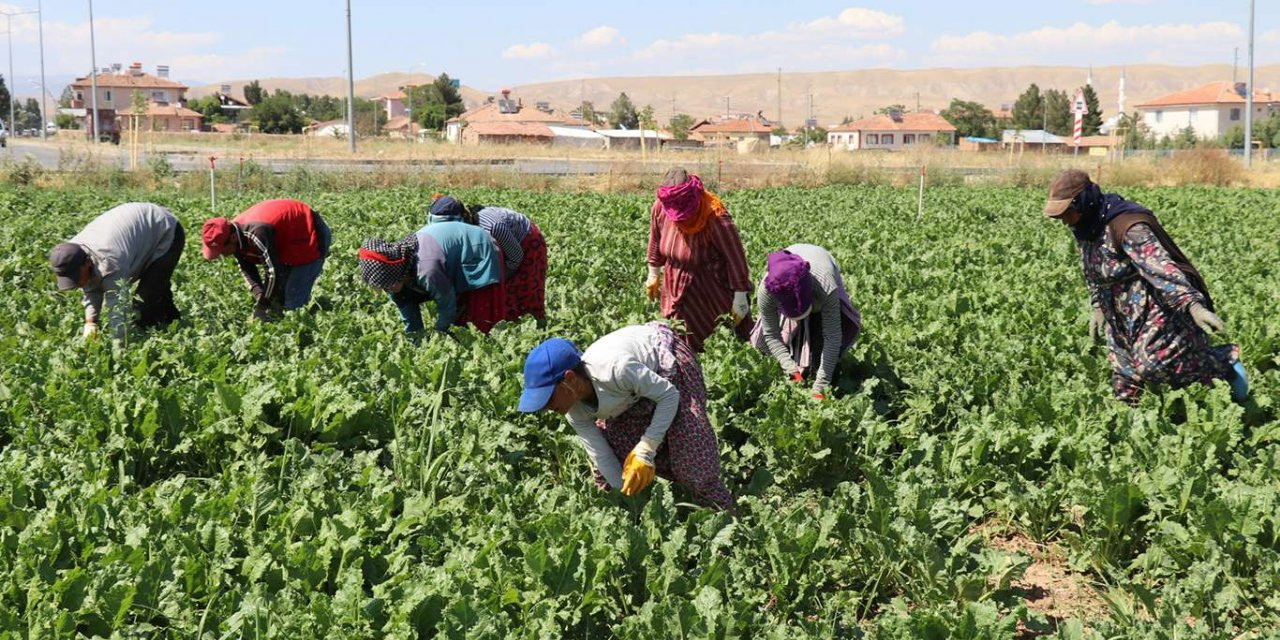 Tarim Iscileri 13Subat2024 1