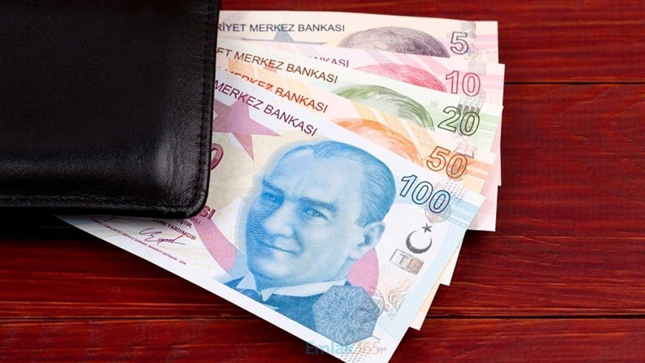 Turk Lirasi T L Para 22112023 Yandex 113