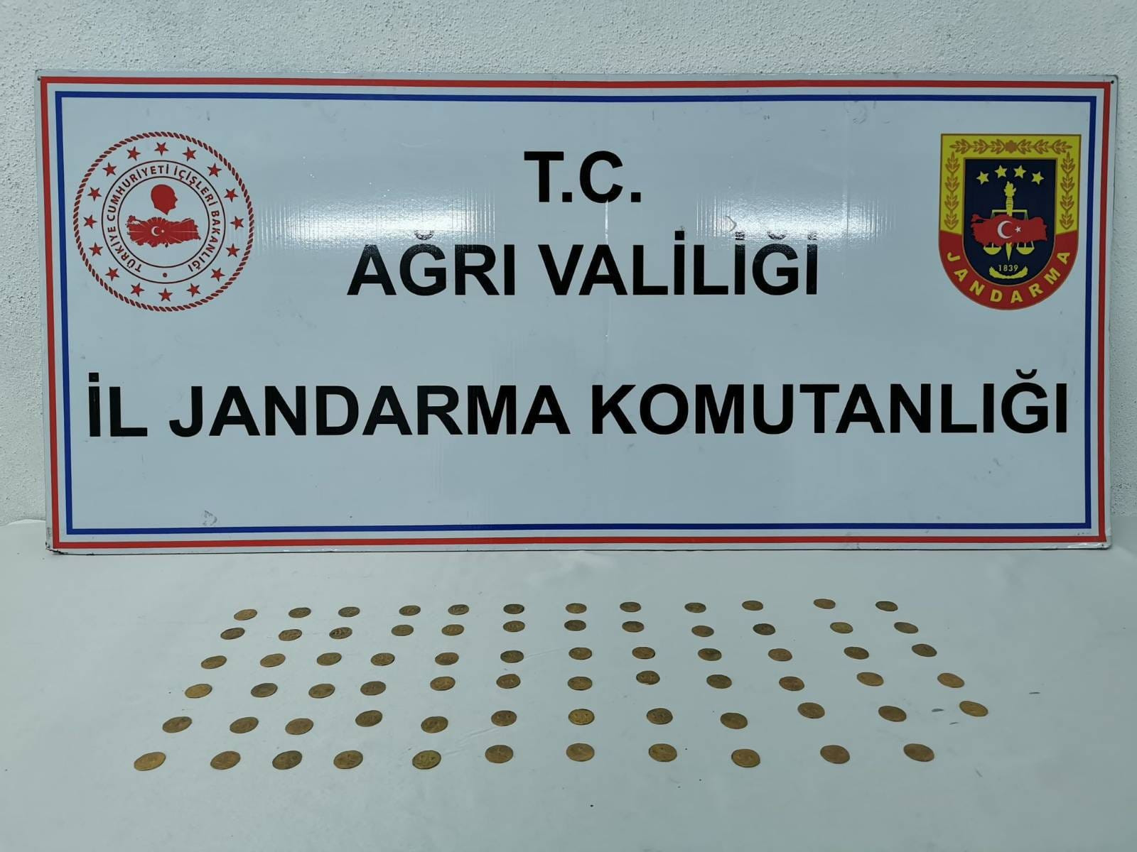 Agrisikke
