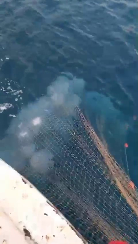 Antalya Balikci Aglari Denizanasi 12032024 Iha (2)