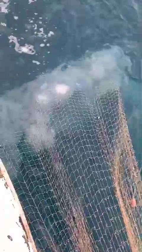 Antalya Balikci Aglari Denizanasi 12032024 Iha (4)