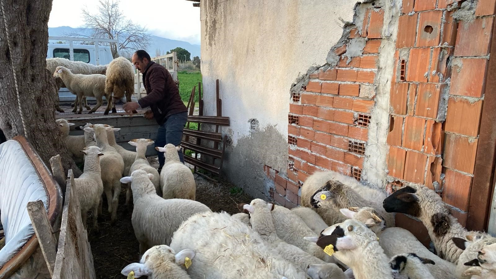Balikesir Jandarma Eft Dolandırıciligi 28032024 (6)