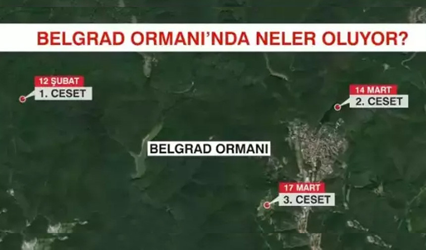 Belgrad Ormani Cesetler