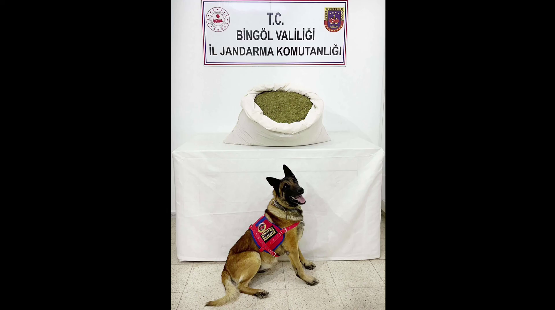 Bingol Narkocelik 9 Operasyonu 28032024