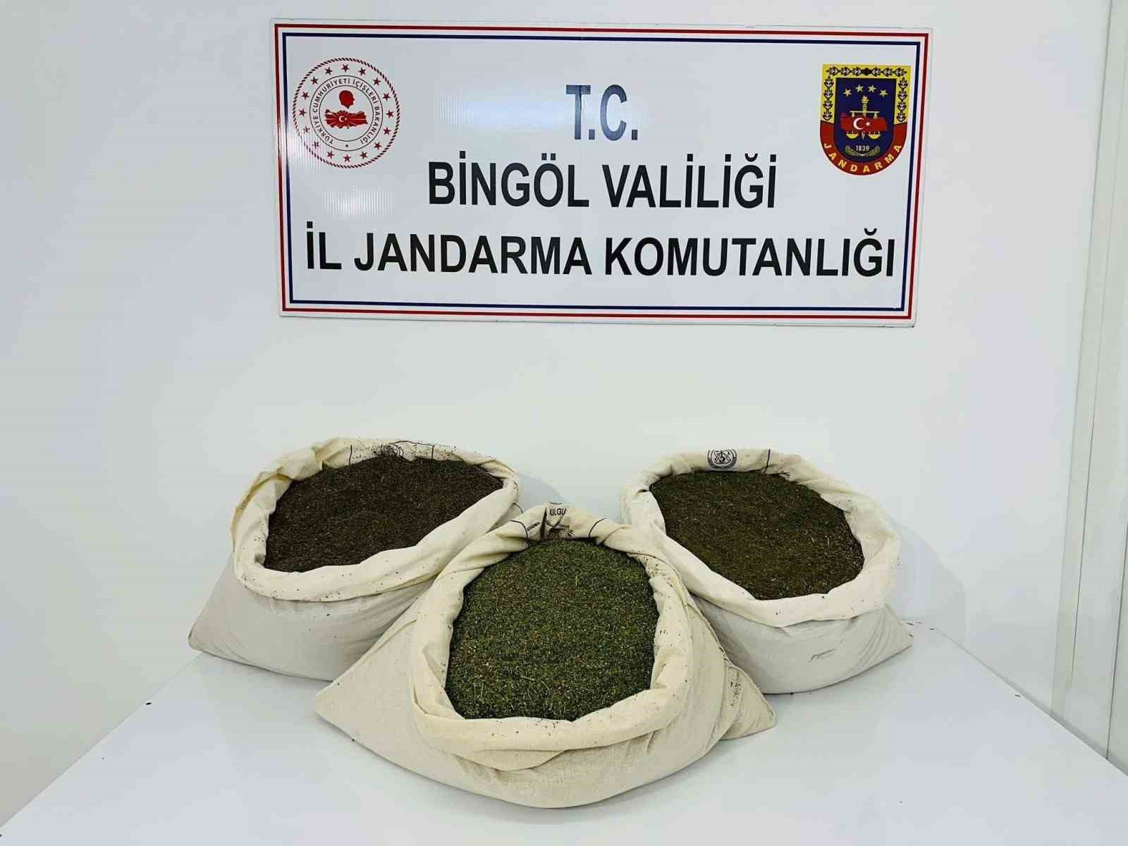 Bingolesrar