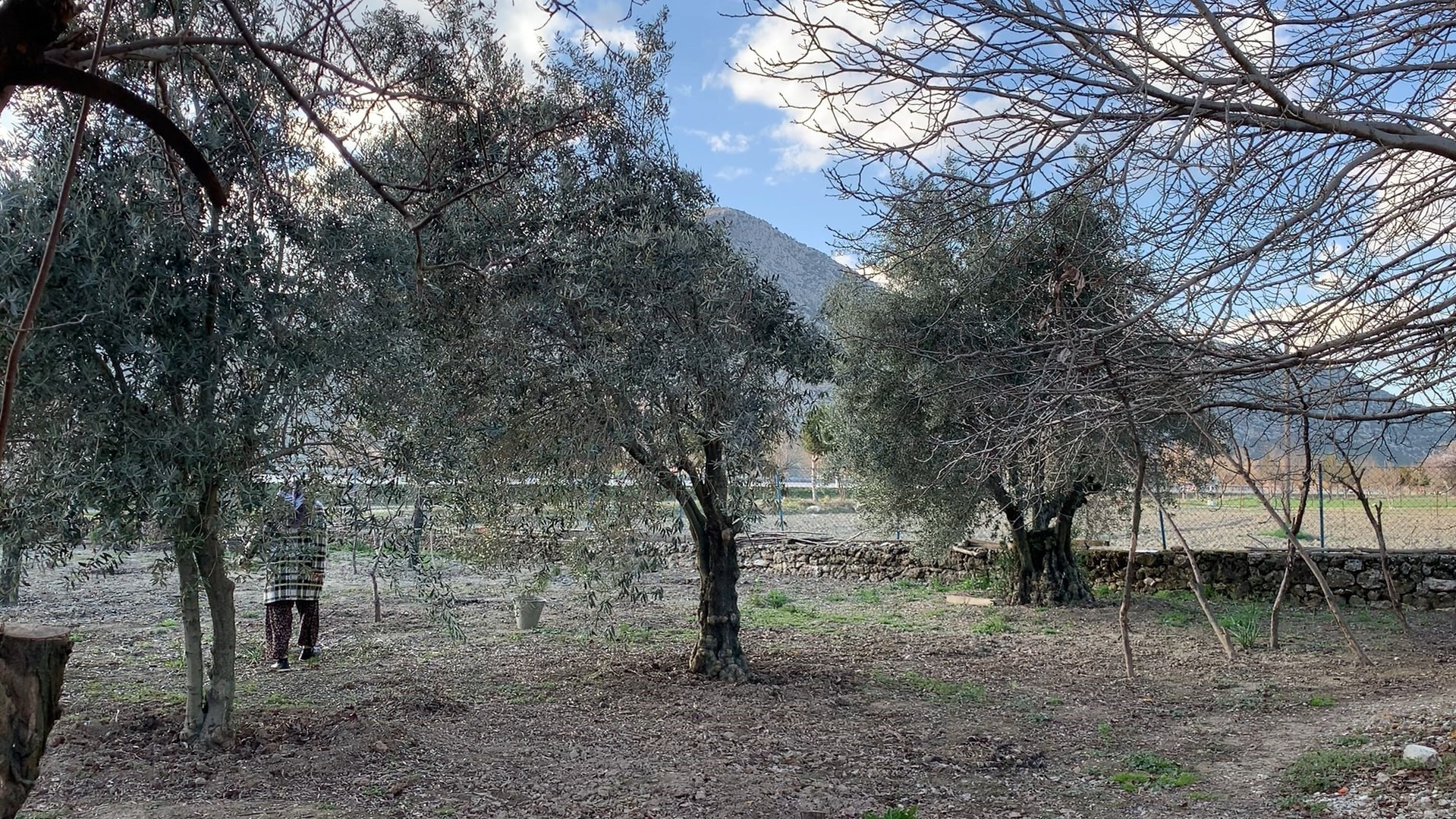 Burdur Fatma Teyze Jandarma 13032024 Iha (4)