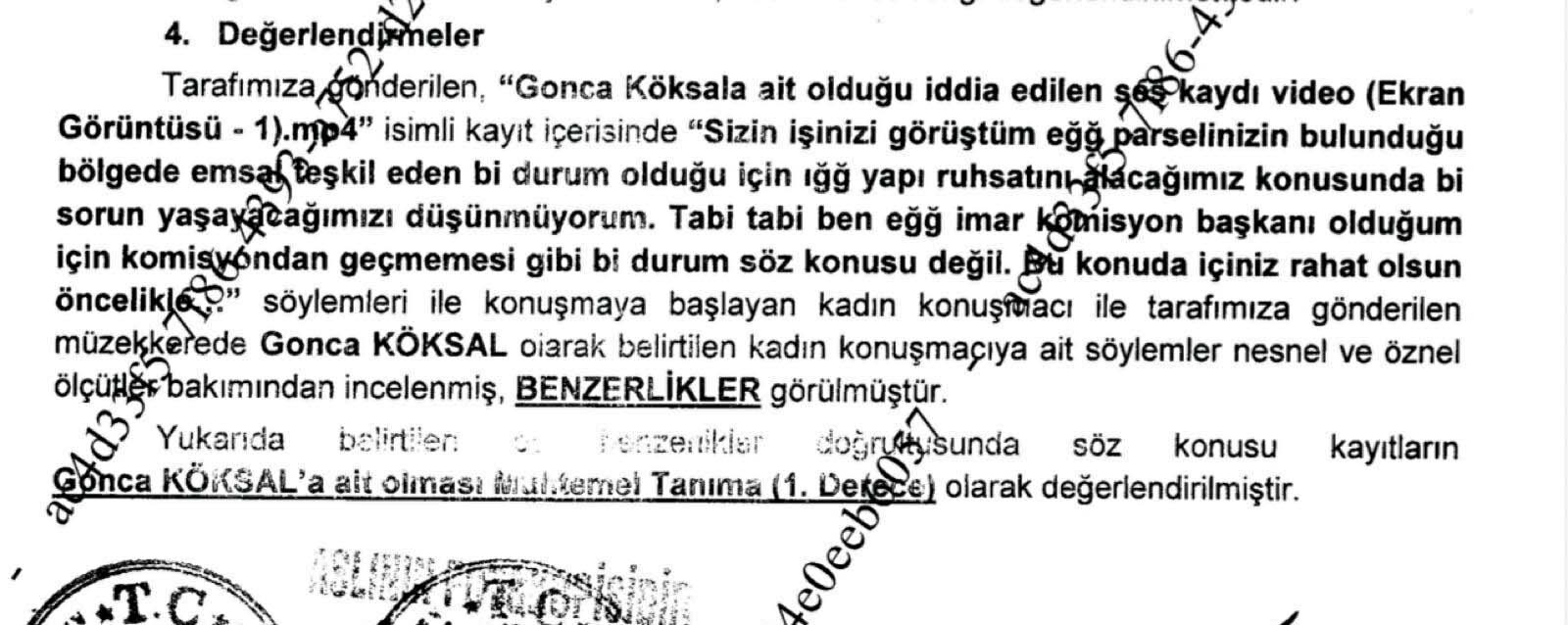 Goncaköksalsorusturma