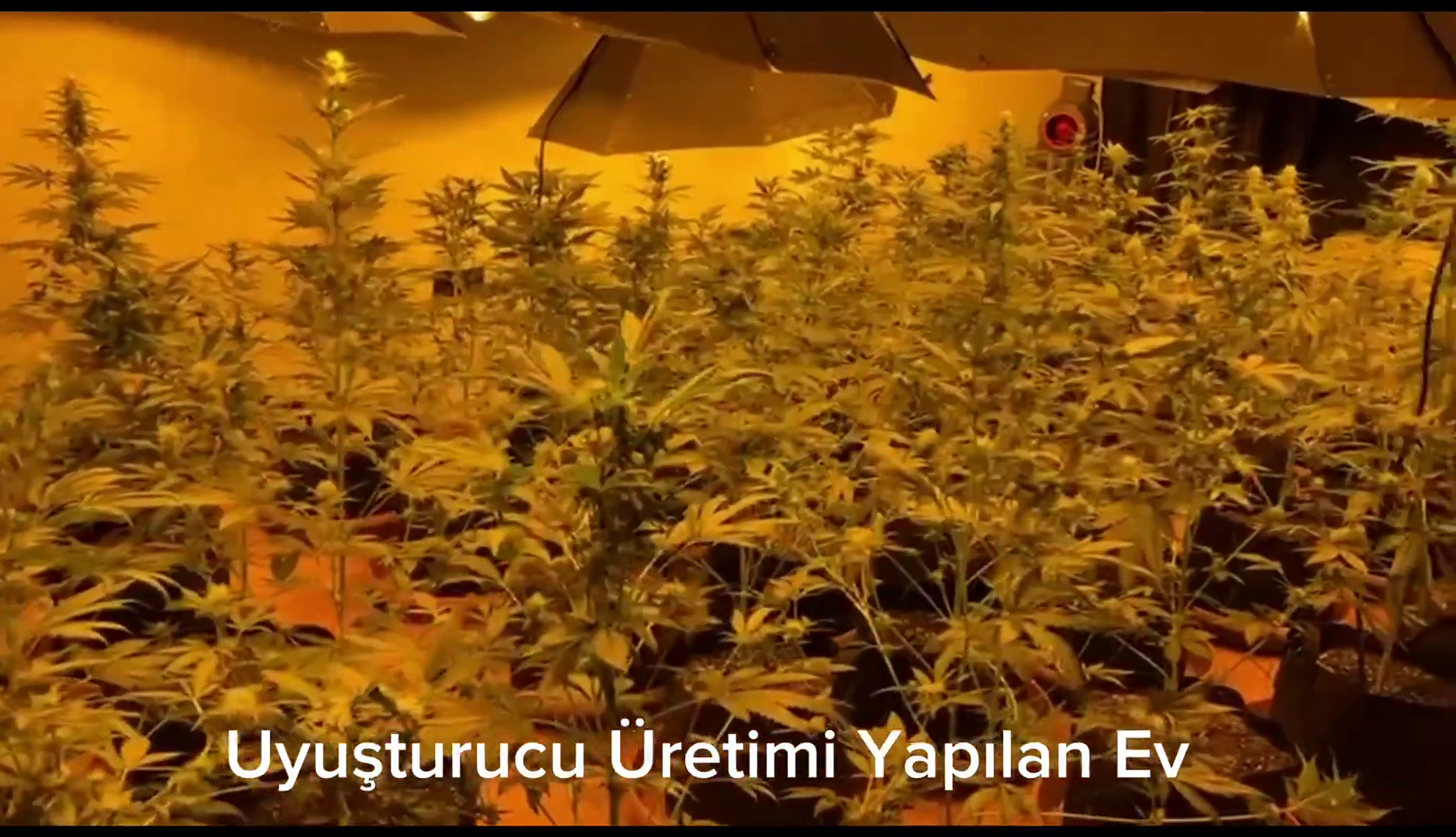Mahzen 9 Operasyonu 12032024 (3)