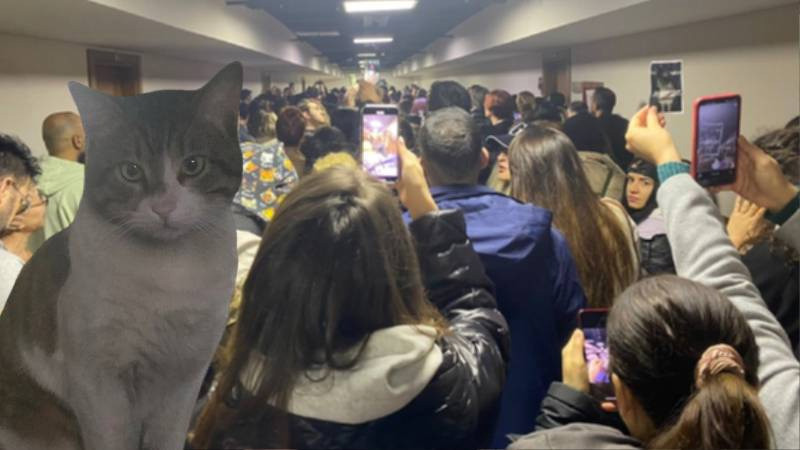 Mustekiler Kedi Eros Ibrahim Keloglan 13032024 1