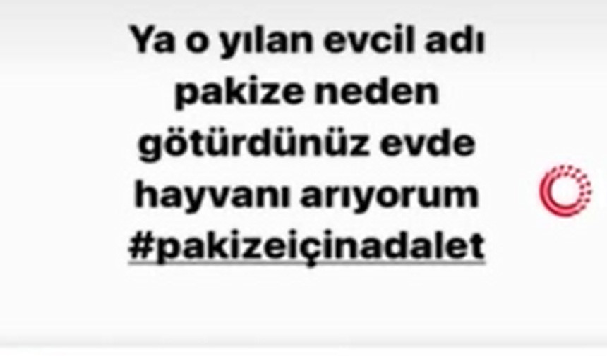 Piton Sahiblendi Ankara