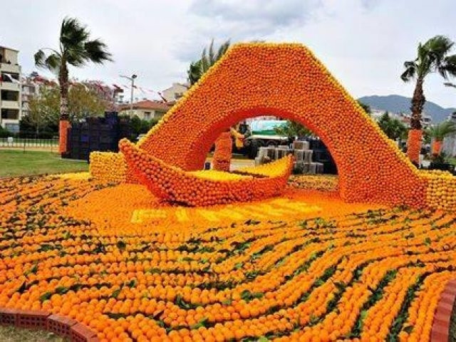 Adana Portakal Çiçeği Festivali 4