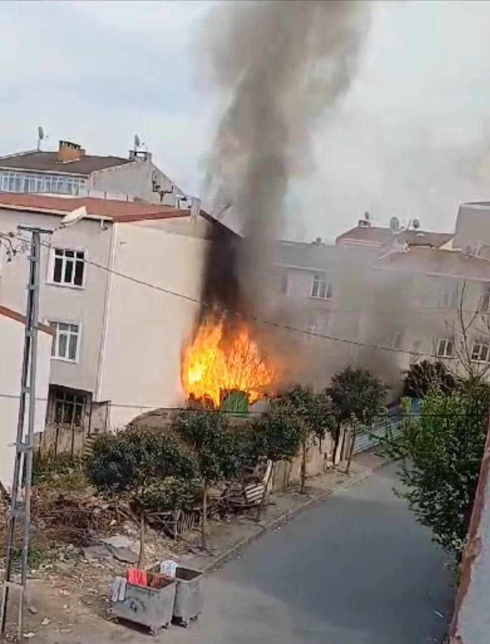 Avcılaryangın