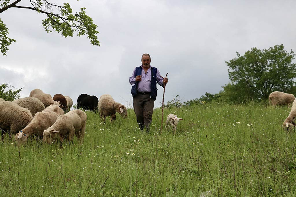 Bursa Kuzu Coban 30042024 Aa (14)