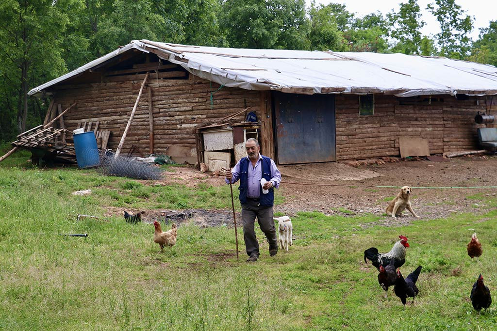 Bursa Kuzu Coban 30042024 Aa (5)