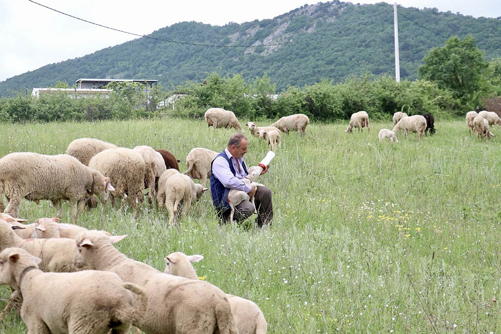 Bursa Kuzu Coban 30042024 Aa (9)