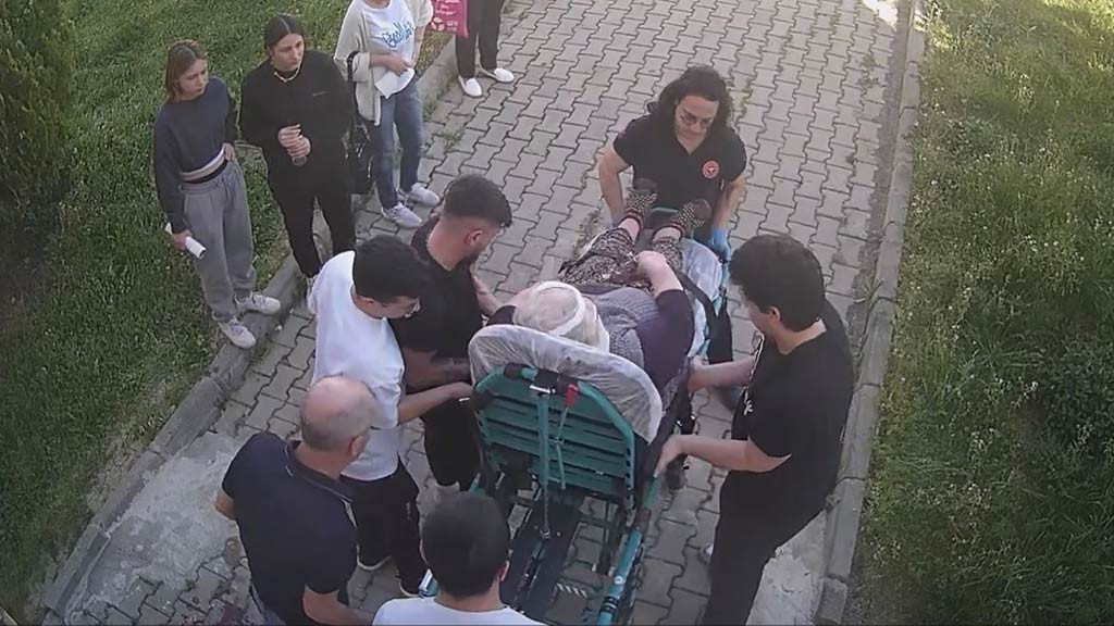 Edirne Kopekler Yasli Kadina Saldirdi 16042024 Iha3
