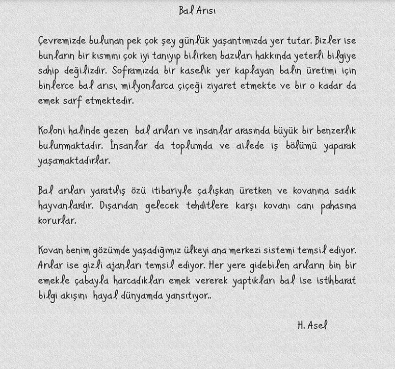 Mit 1 1