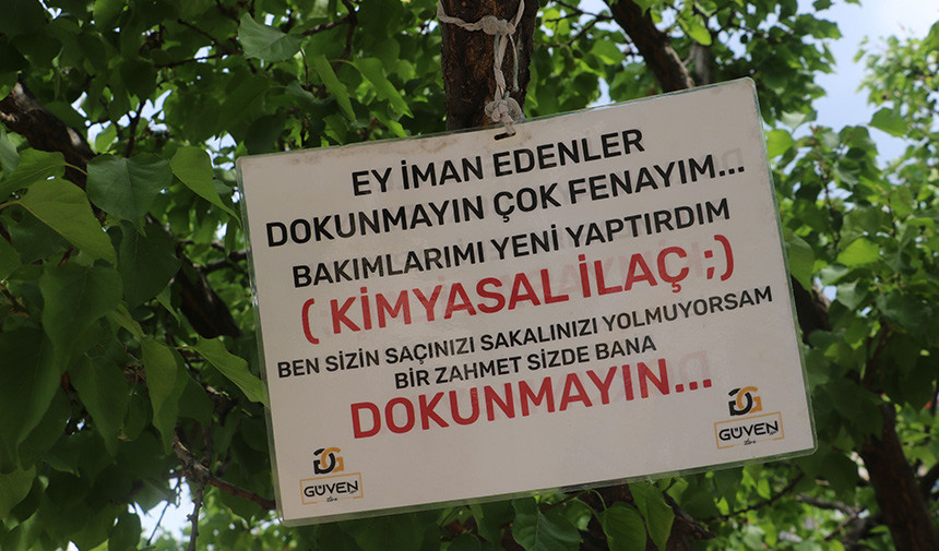 Sivas Agac 2