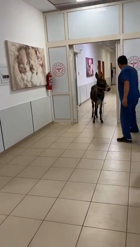 Yalova Esek Acil 23042024 Dha 5