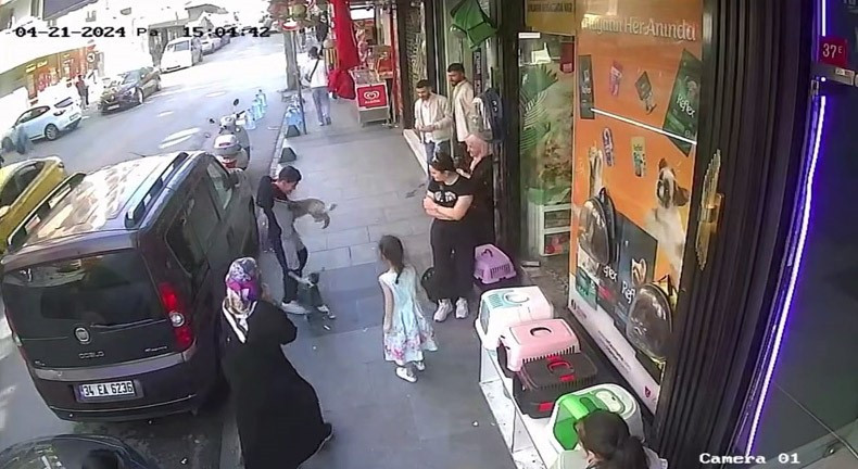 Yedi Bela Husnu Kedi 30042024 Iha (3)