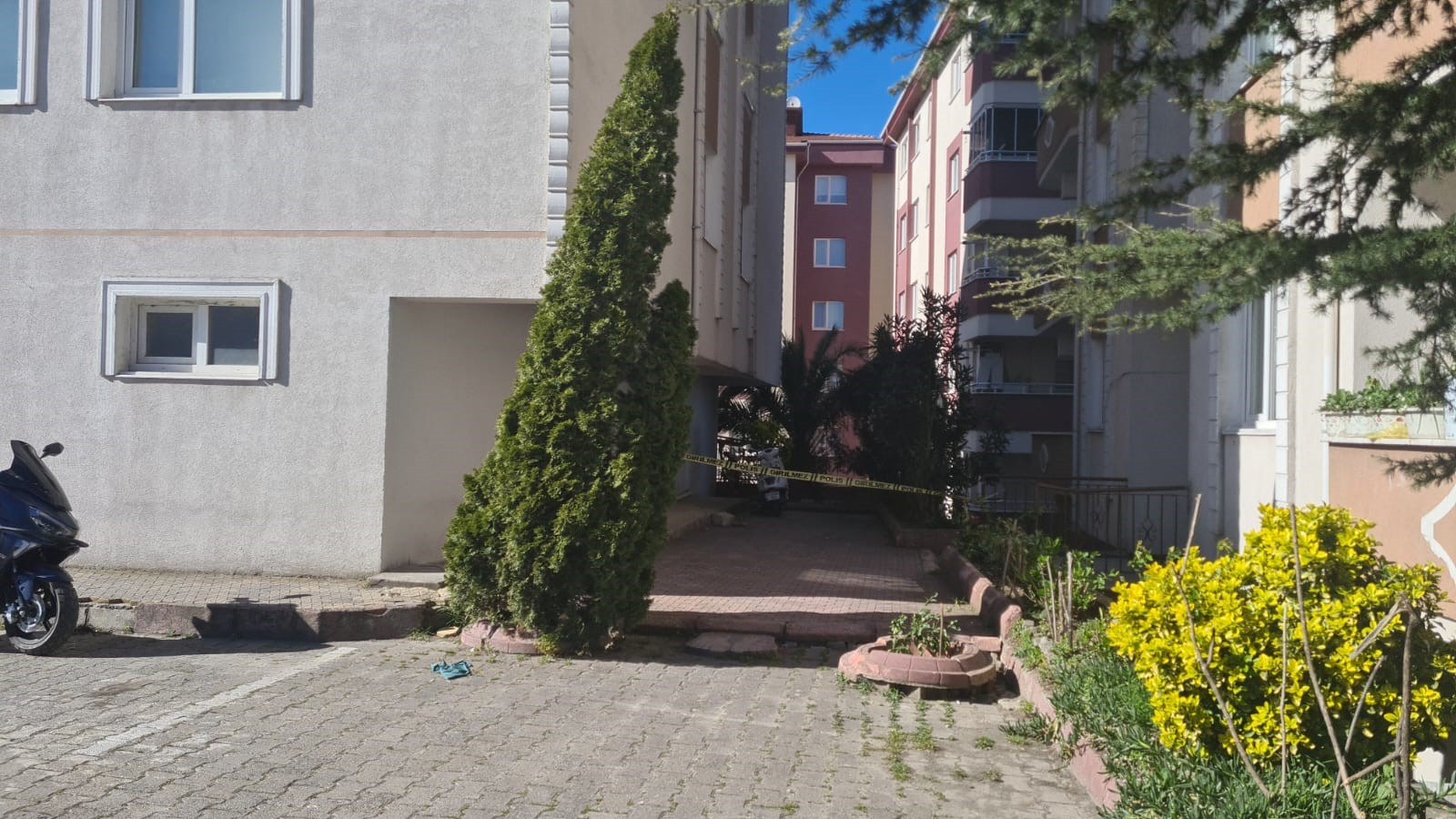 Zonguldak11133