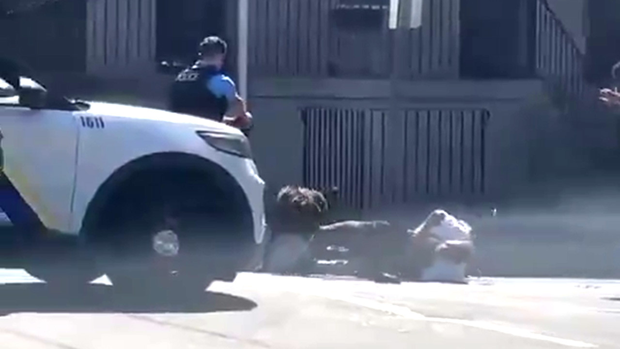 Abd Polisi Sokak Kopekleri 07052024