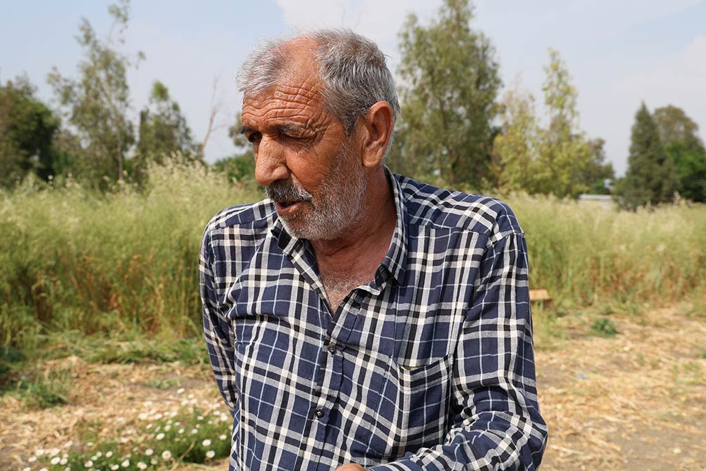 Adana Imamoglu Ilcesi Kopekler 01052024 Iha8