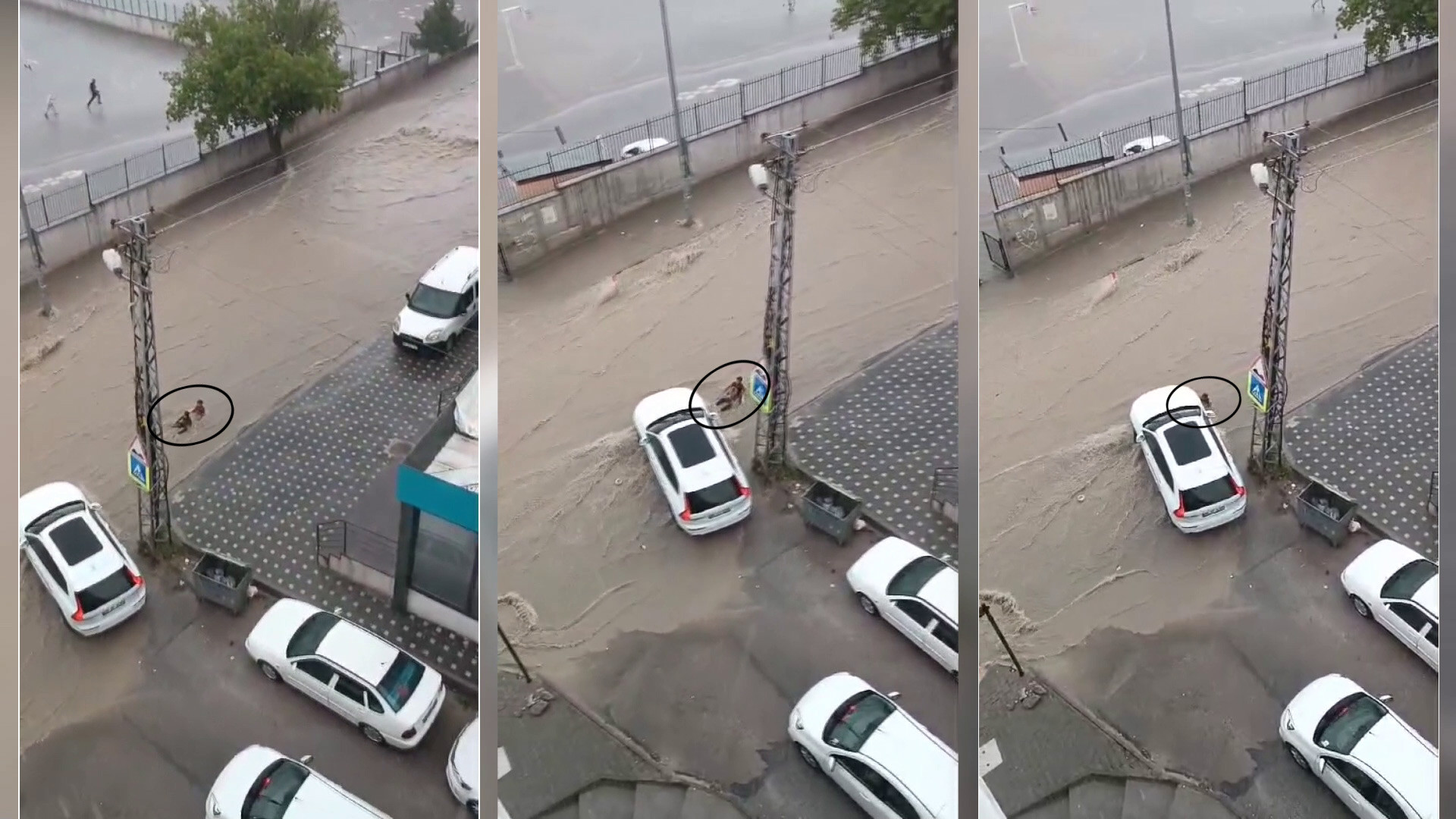 Ankara Sel 2 Cocuk 24052024 Aa Gorsel1