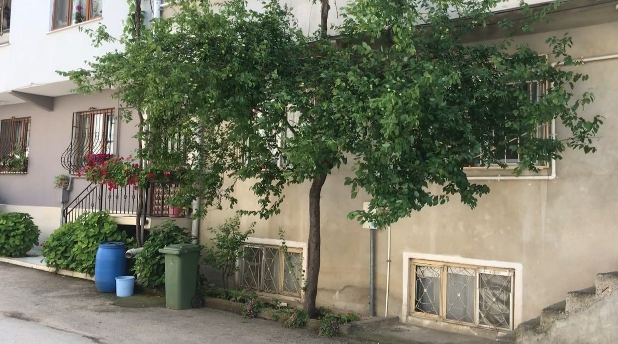 Bursa Sokak Kopekleri 05052024 Iha4