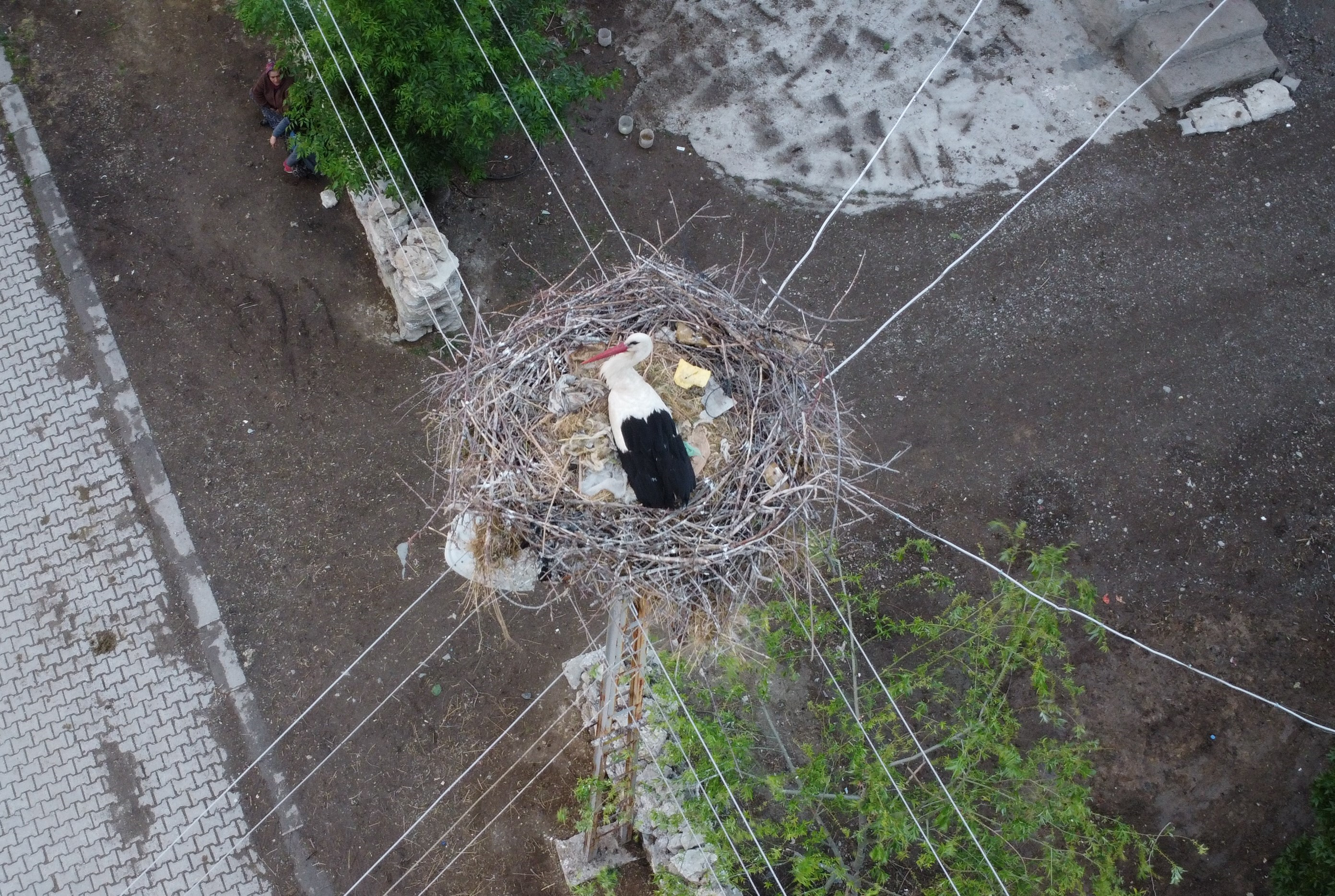 Cankiri Leylek Dron 05052024 Iha2