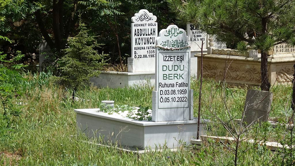 Dudu Berk Kopek Saldirisi 28052024 Iha (3)