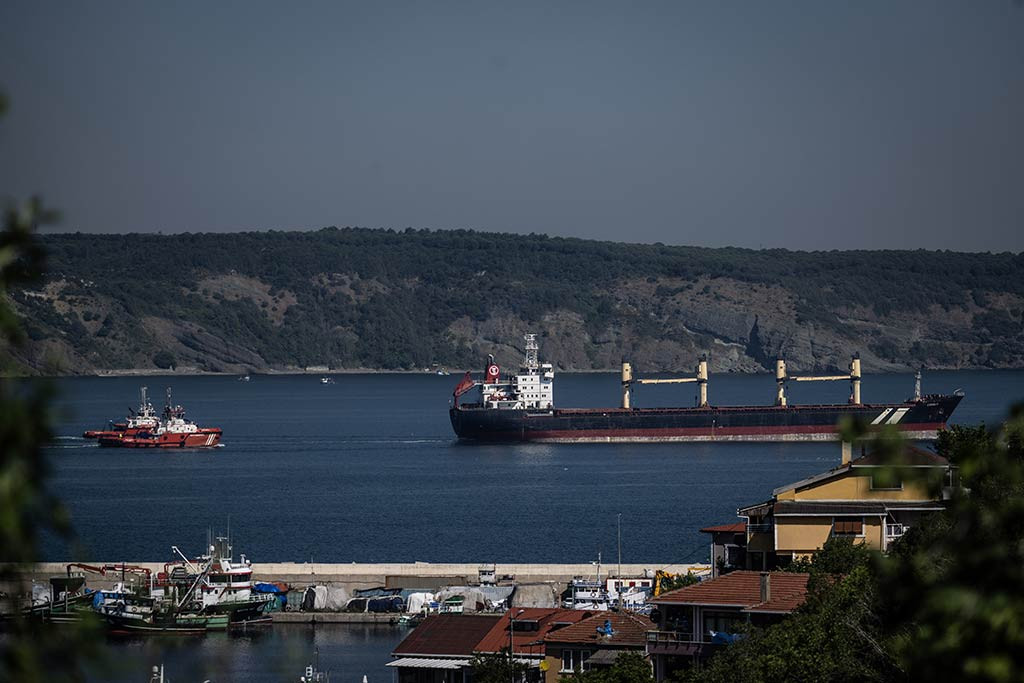 Istanbul Bogazi Trafigi Durduruldu 31052024 Aa (2)