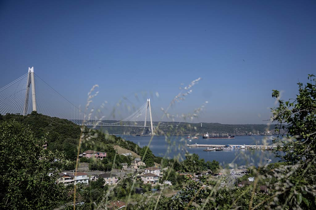 Istanbul Bogazi Trafigi Durduruldu 31052024 Aa (4)