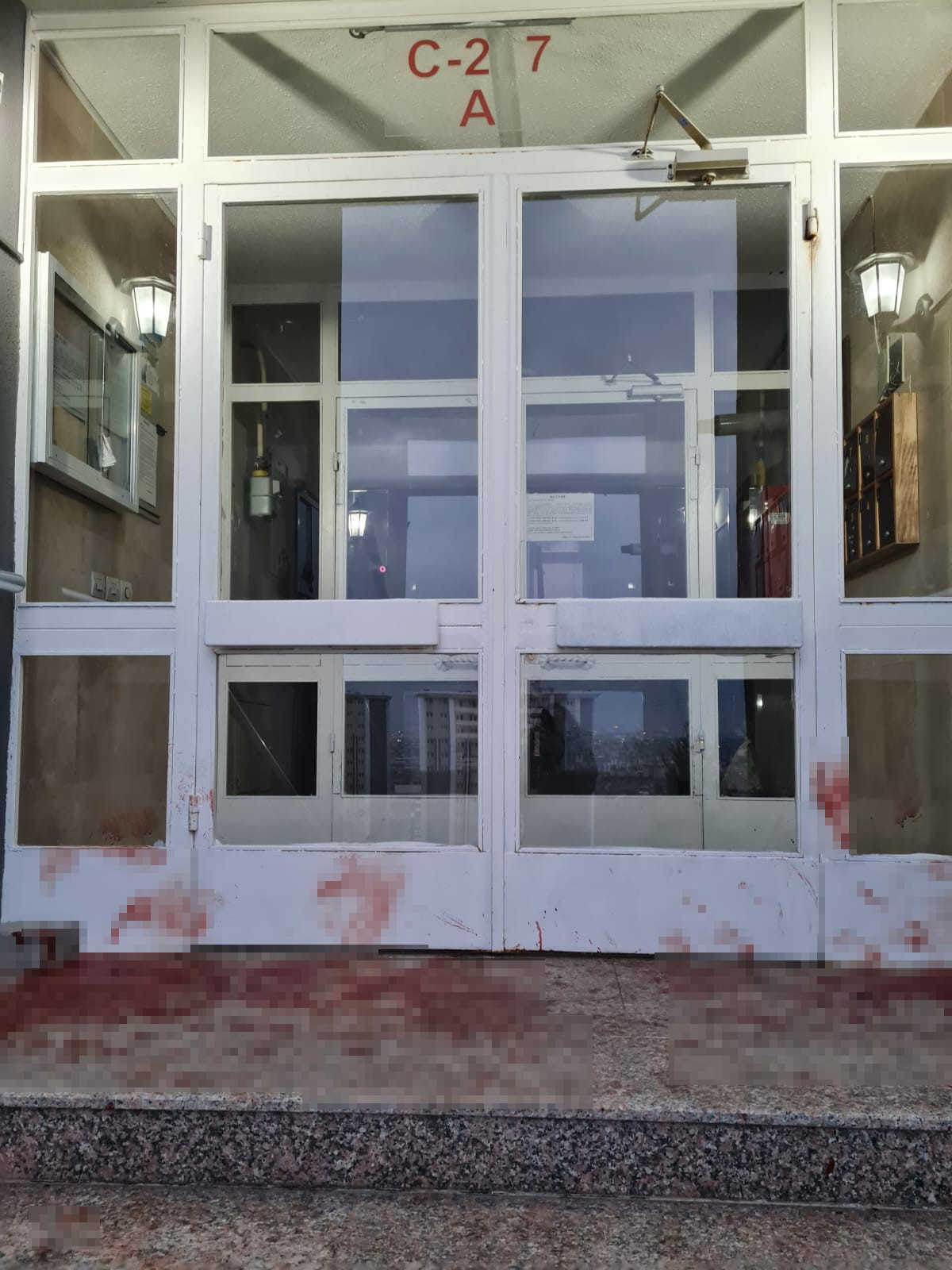 Kocaeli Sokak Kopekleri Kediyi Parcaladi 06052024 Iha5