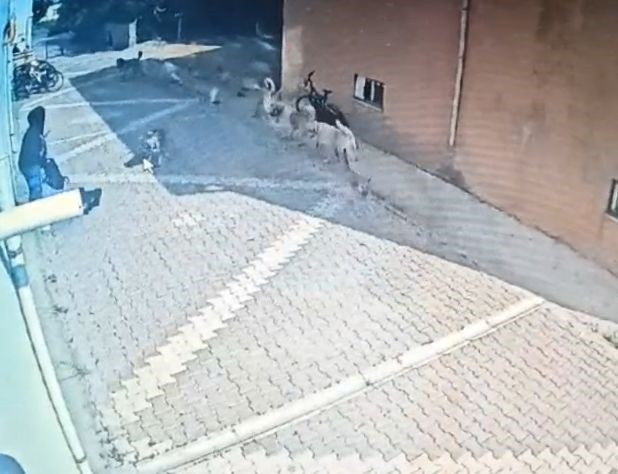 Konya Kopekler Kiza Saldirdi 21052024 Iha3