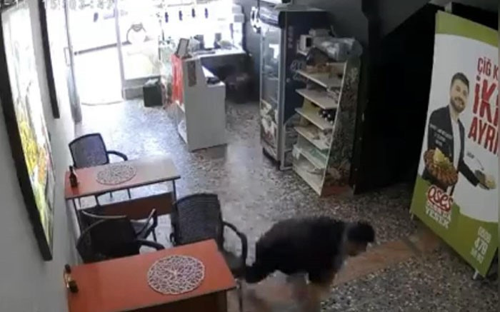 Osmaniye F16 Sesi Deprem 16052024 Iha2