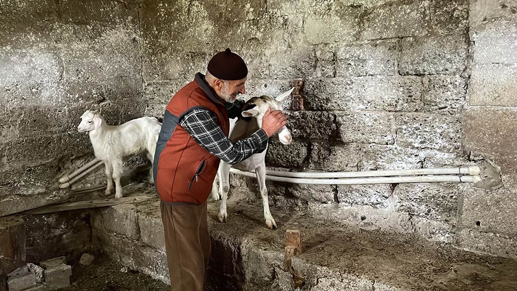 Rize Sokak Kopekleri Ahir Telef 05052024 Iha (8)