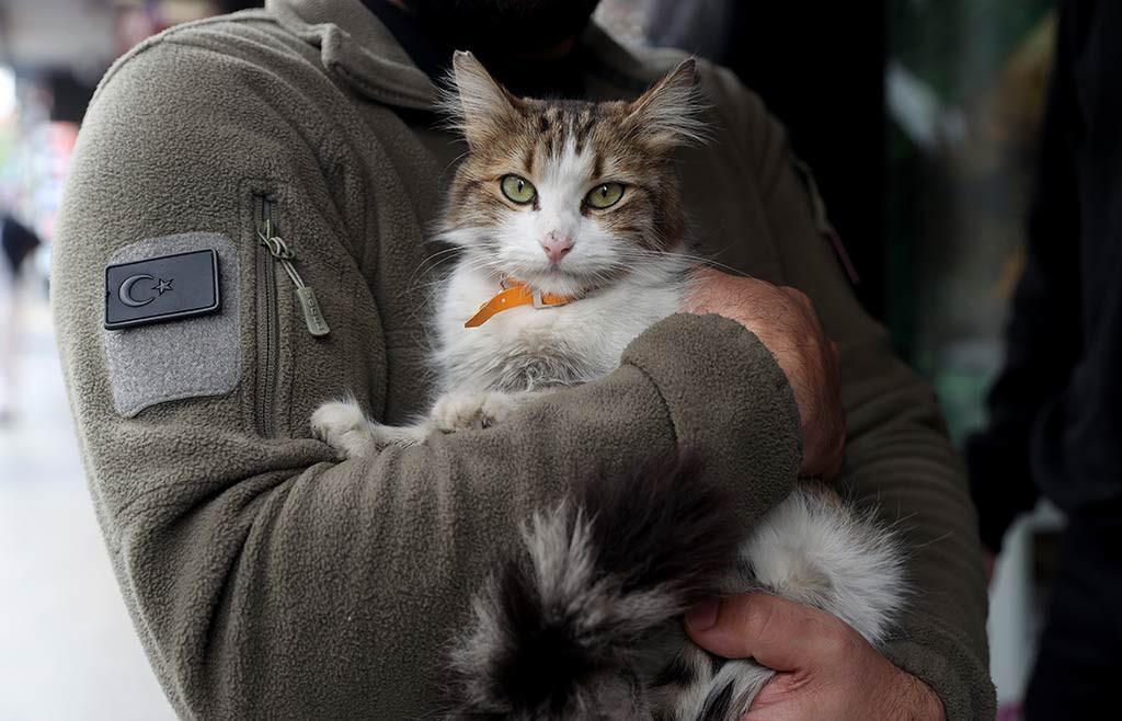 Yedi Bela Husnu Kedi 03052024 Aa (3)