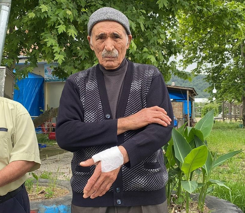 Zonguldak Sokak Kopekleri 29052024 Aa (1)