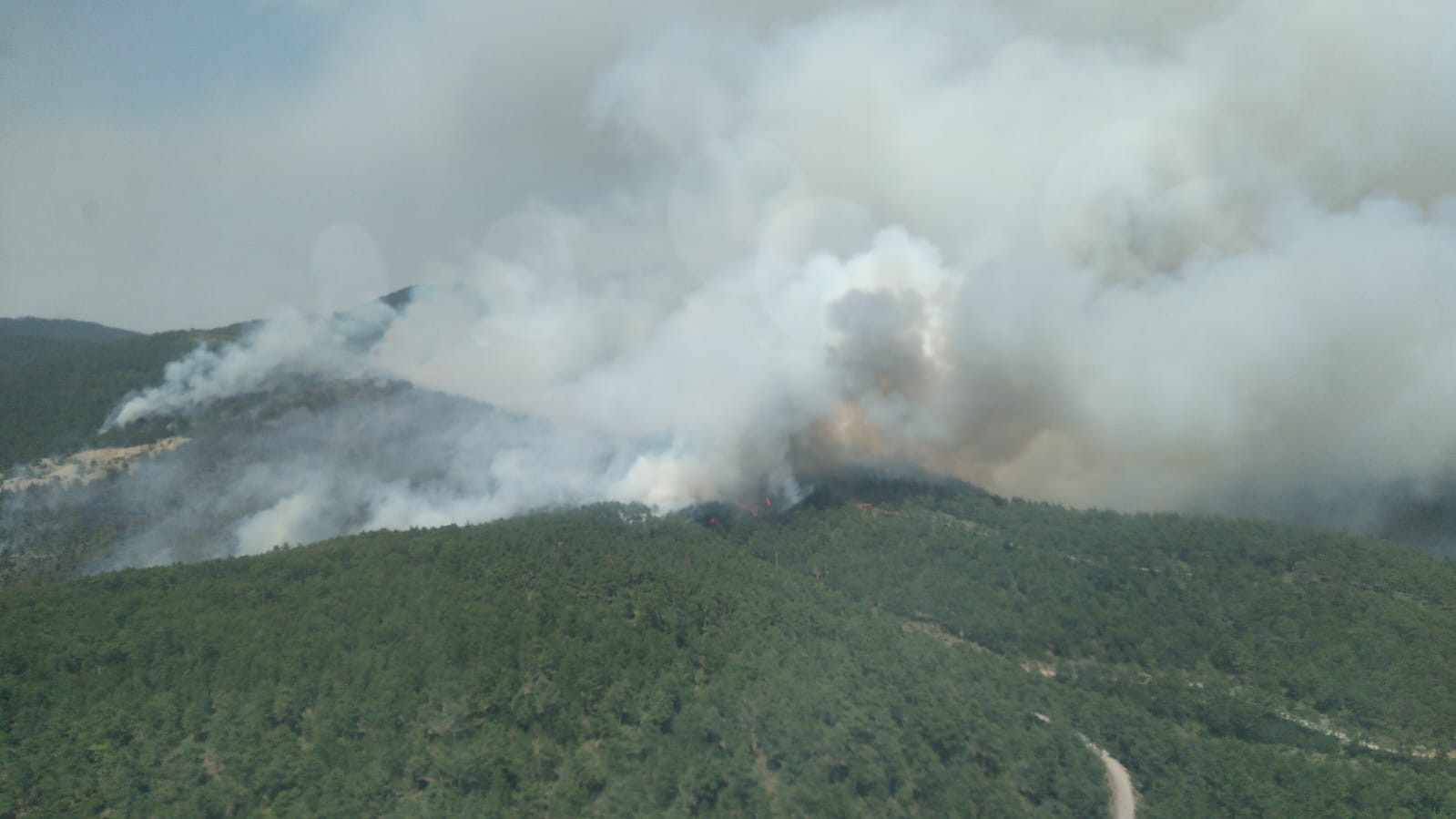 Bursa Orhaneli Orman Yangini 04062024 Aa