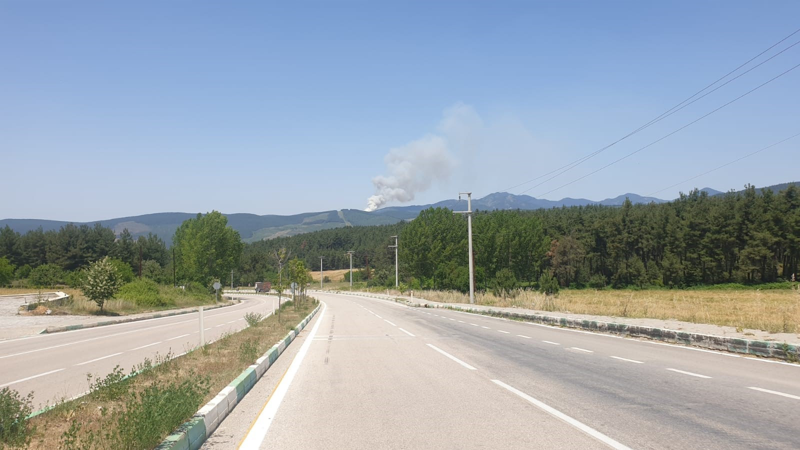 Bursa Orman Yangini 04062024 Iha 2