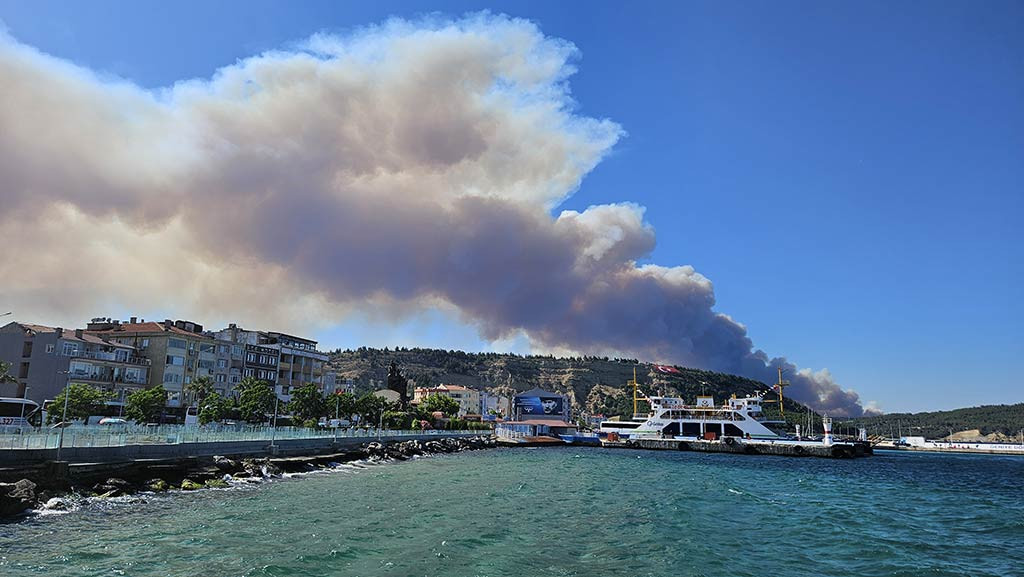 Canakkale Bogazi Gemi Trafigi Orman Yangini 18062024 Aa (1)