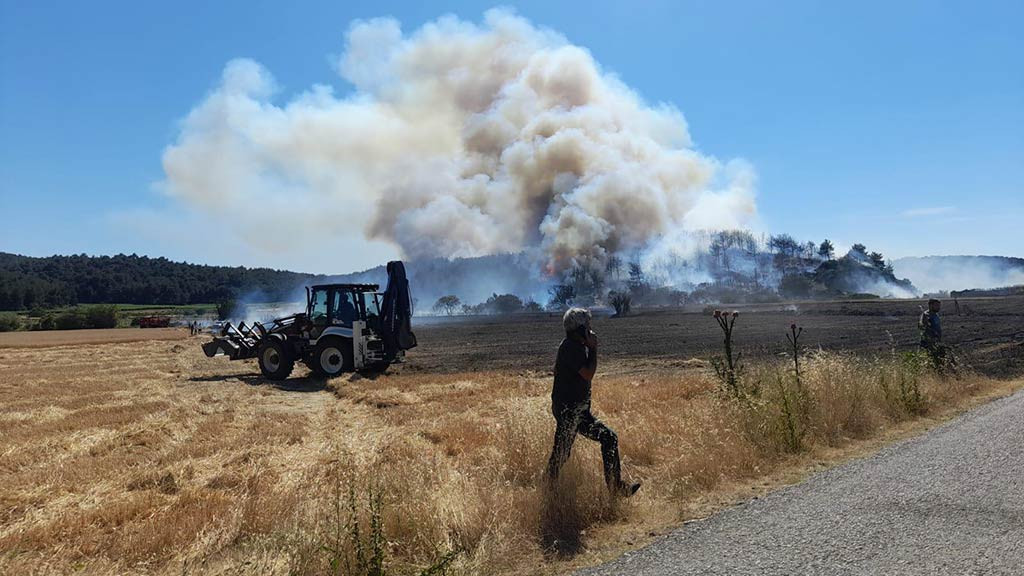 Canakkale Bogazi Gemi Trafigi Orman Yangini 18062024 Aa (3)